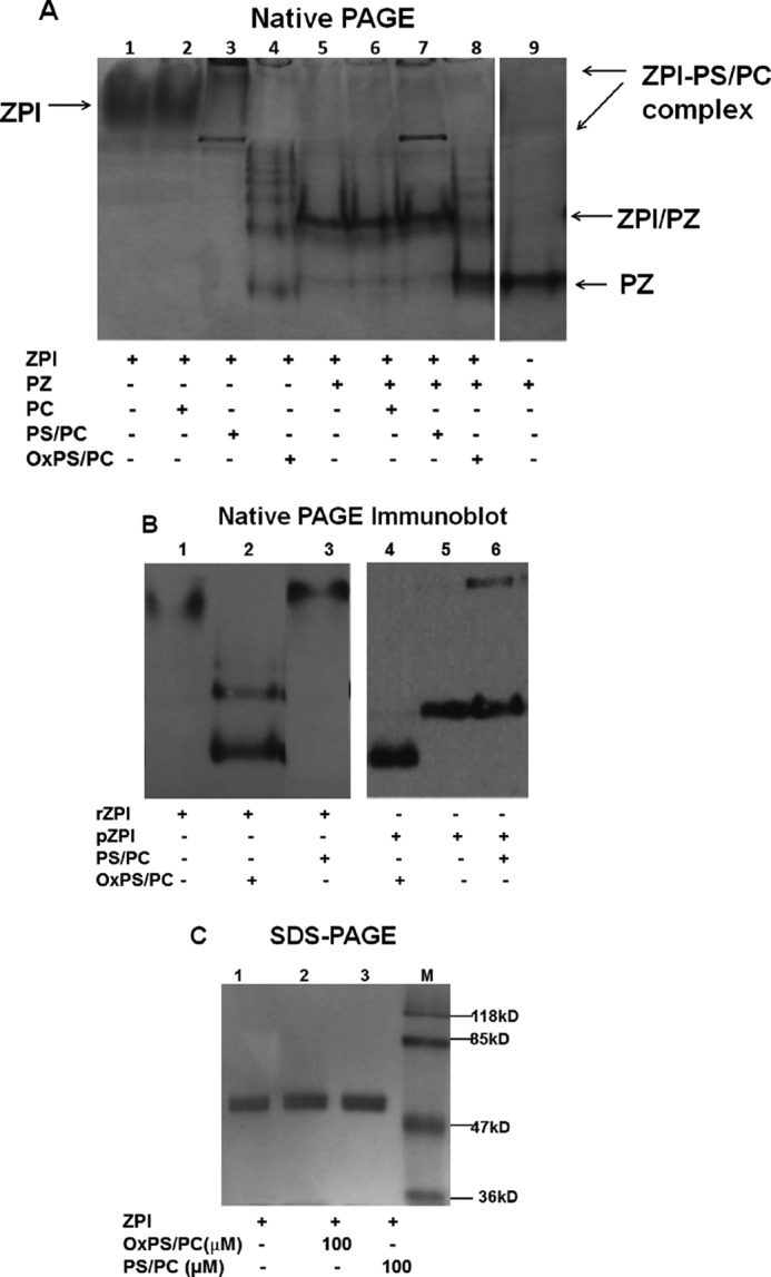 Figure 10.