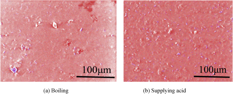 Fig. 11