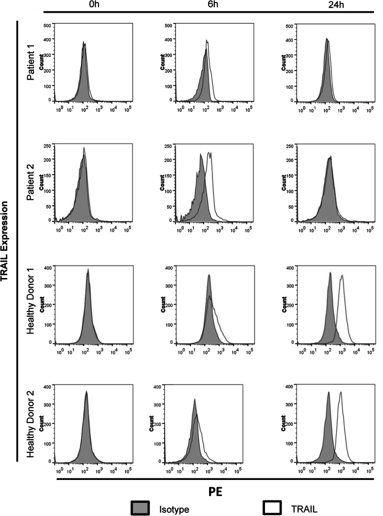 Fig. 1