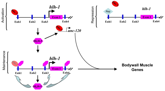 Fig. 7.