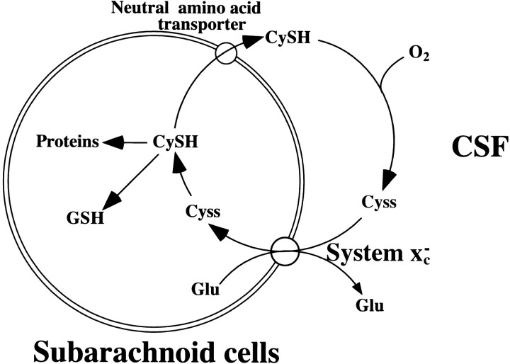 Fig. 9.