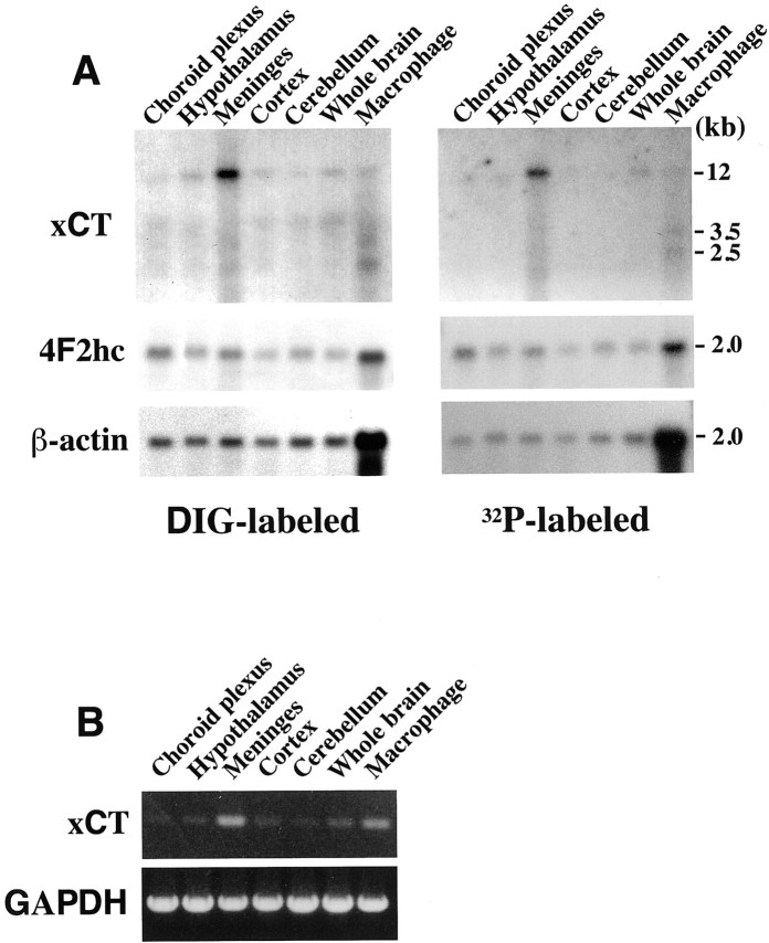 Fig. 8.