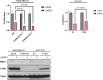 Figure 2—figure supplement 3.