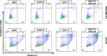 Figure 1—figure supplement 2.