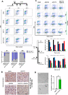 Figure 3—figure supplement 1.