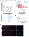 Figure 2—figure supplement 2.