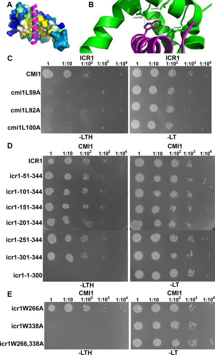 Fig 8