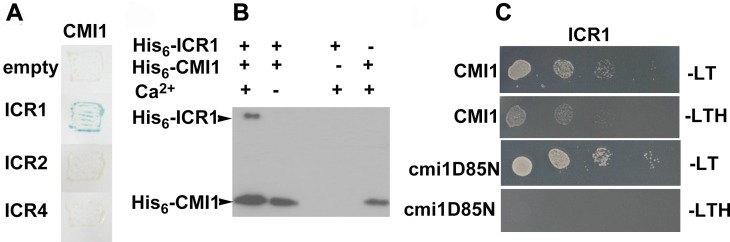 Fig 6