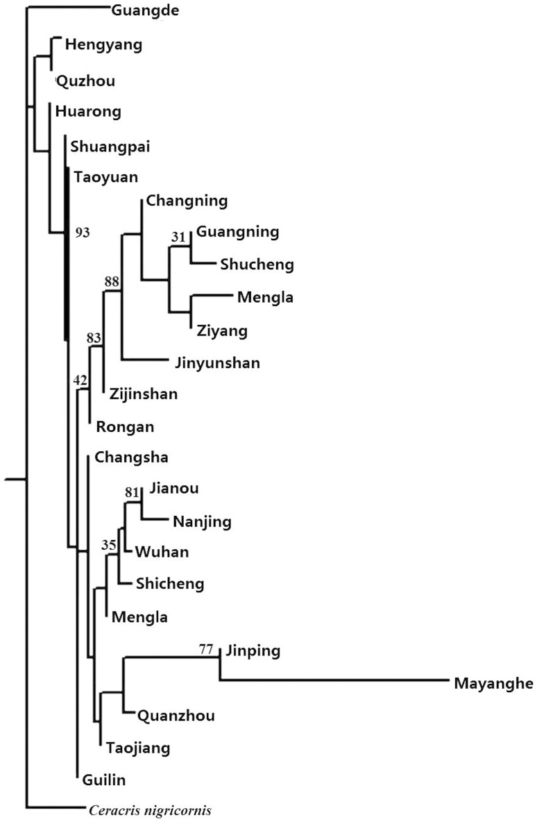 Figure 4