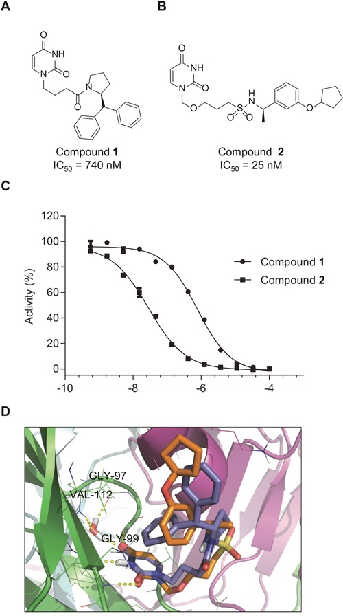 Figure 4