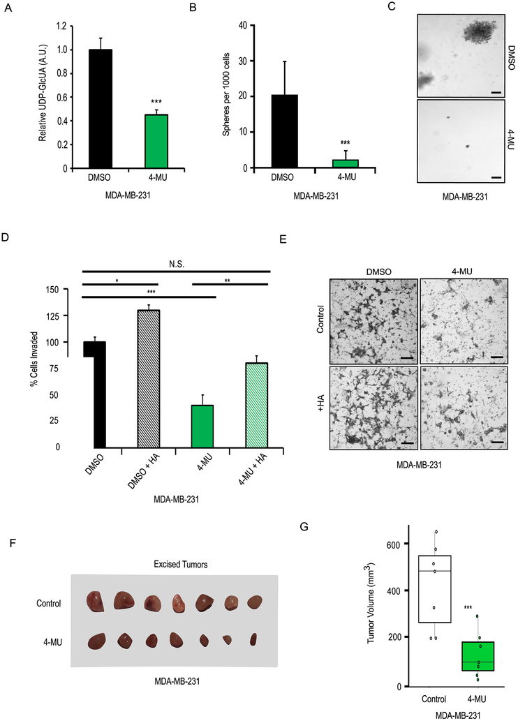 Figure 4: