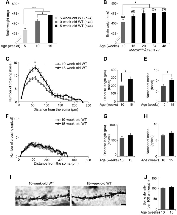 Figure 6.