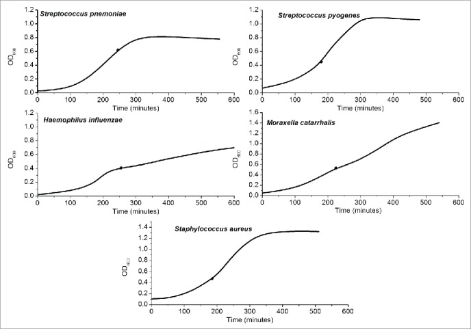 Figure 2.