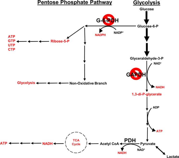 Figure 11.