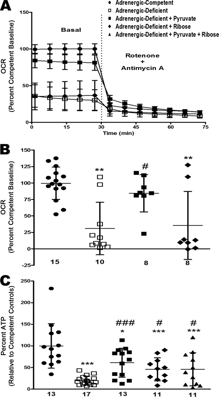 Figure 10.