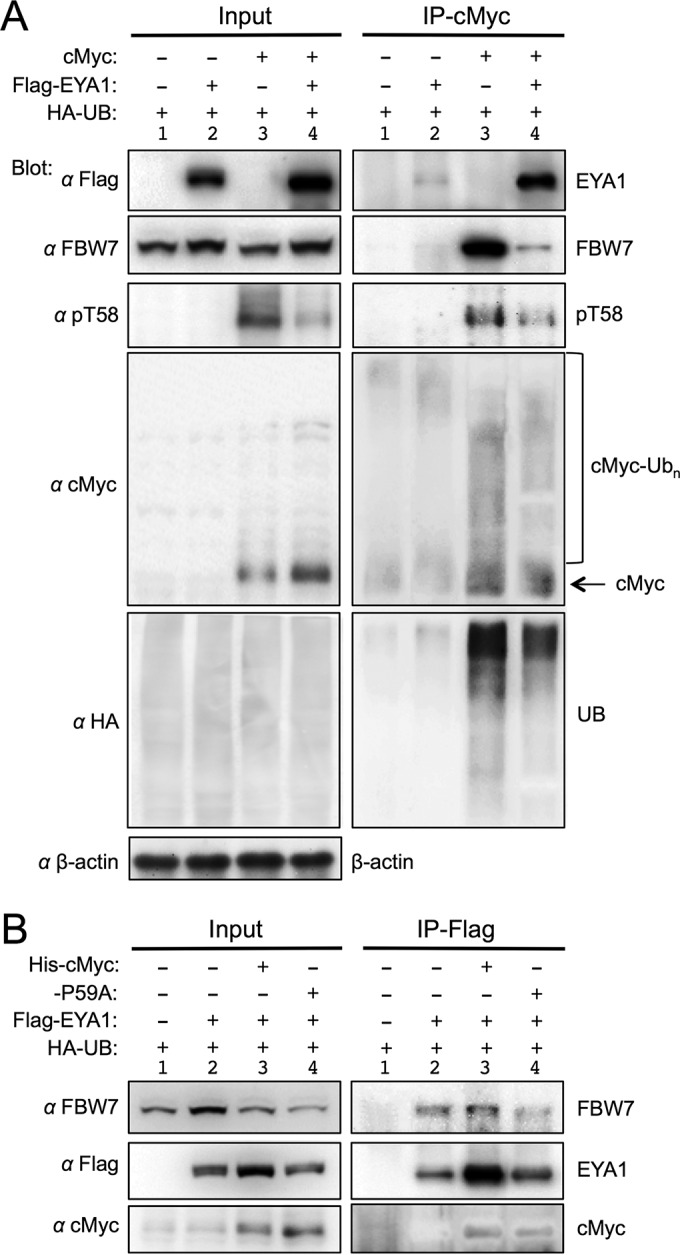 FIG 10