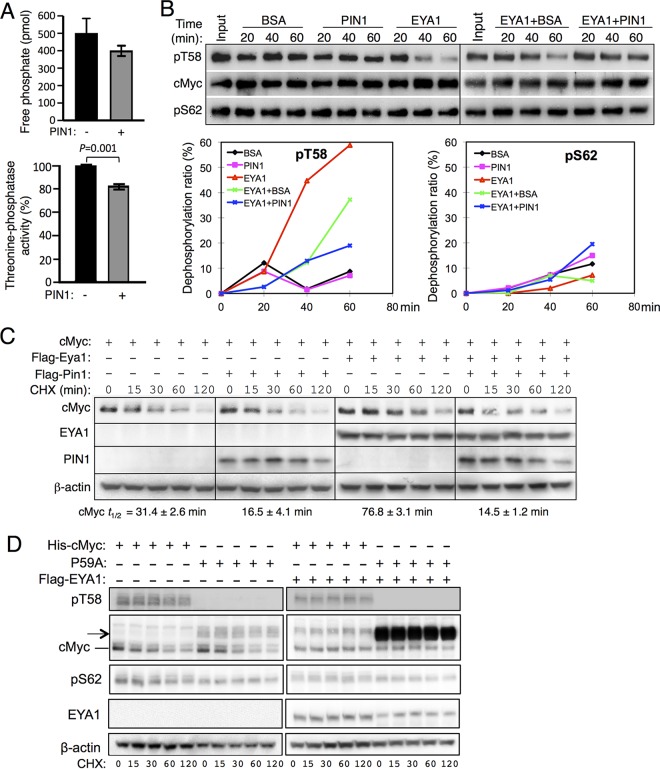 FIG 6