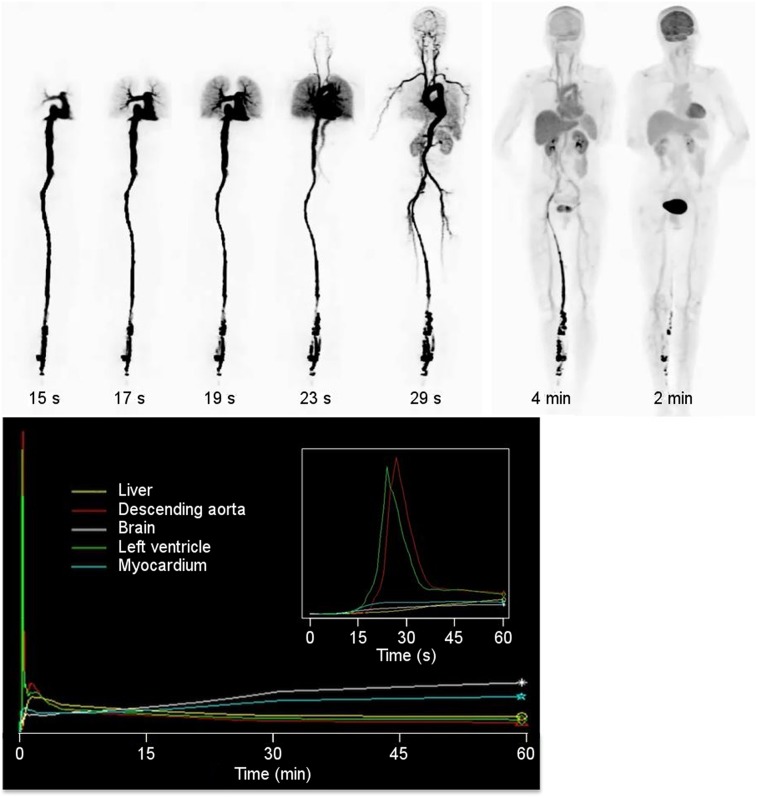 FIGURE 7.