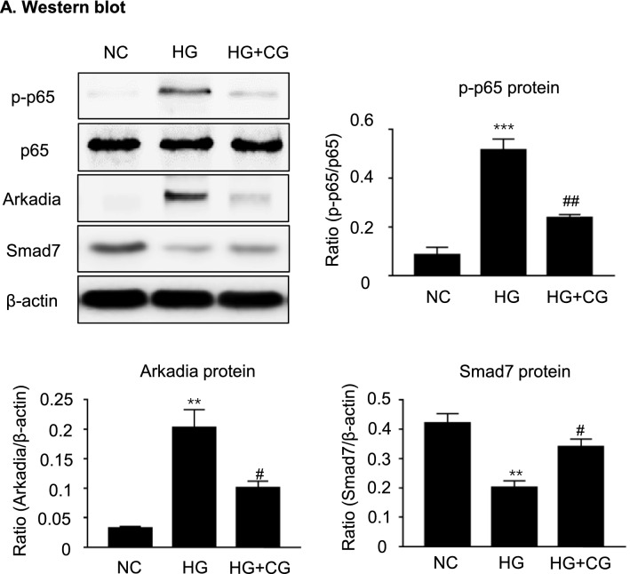 Fig. 9