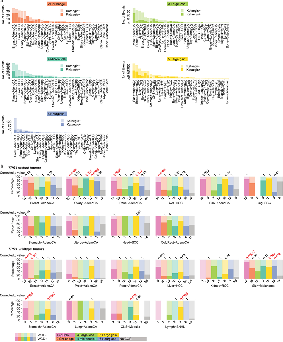 Extended Data Fig. 7