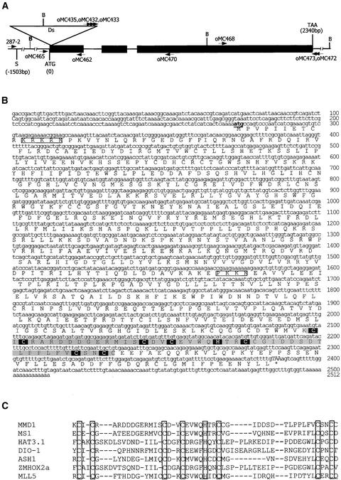 Figure 5.