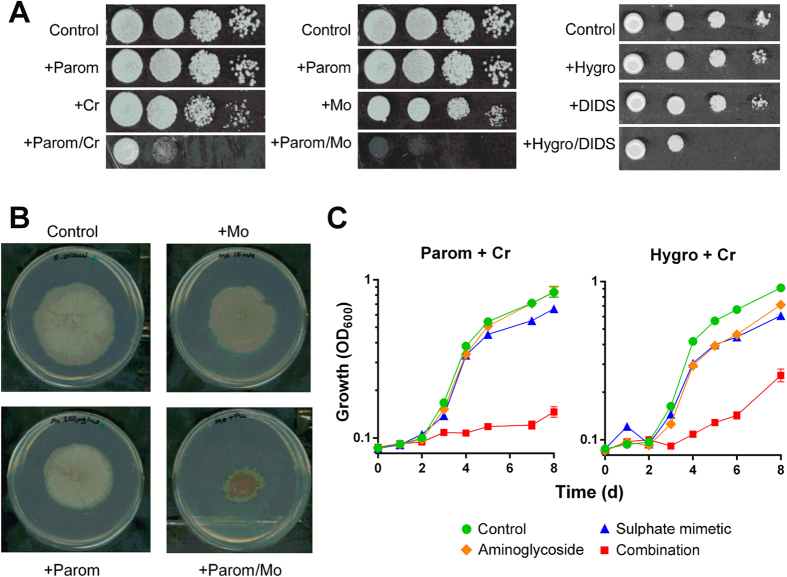 Figure 6