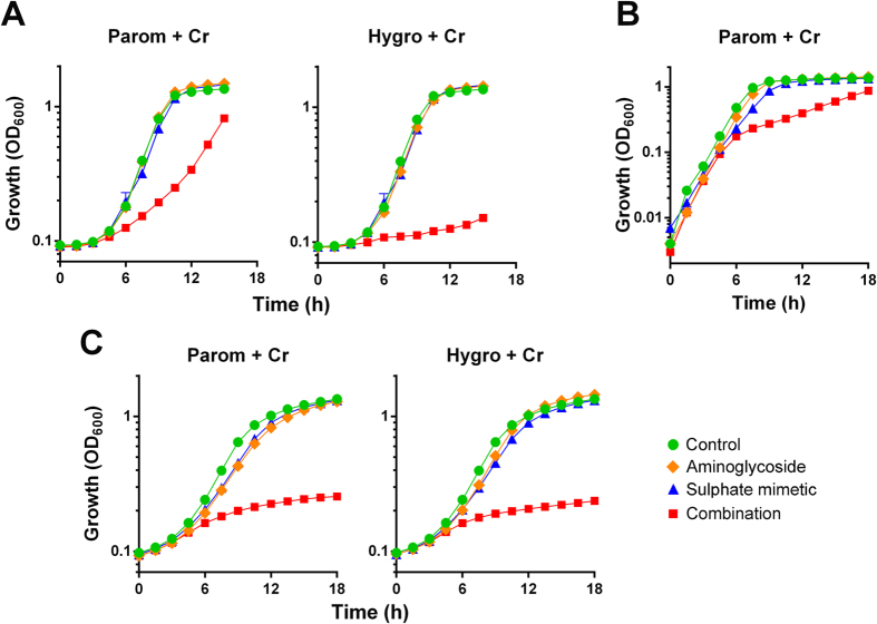 Figure 5