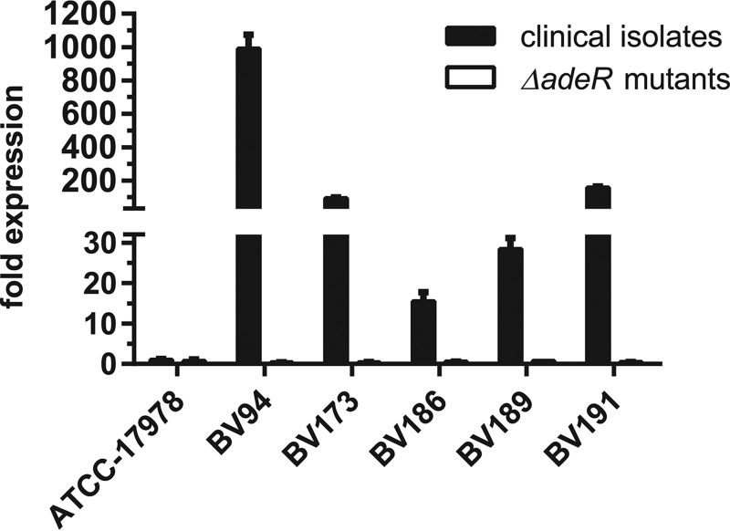 FIG 2