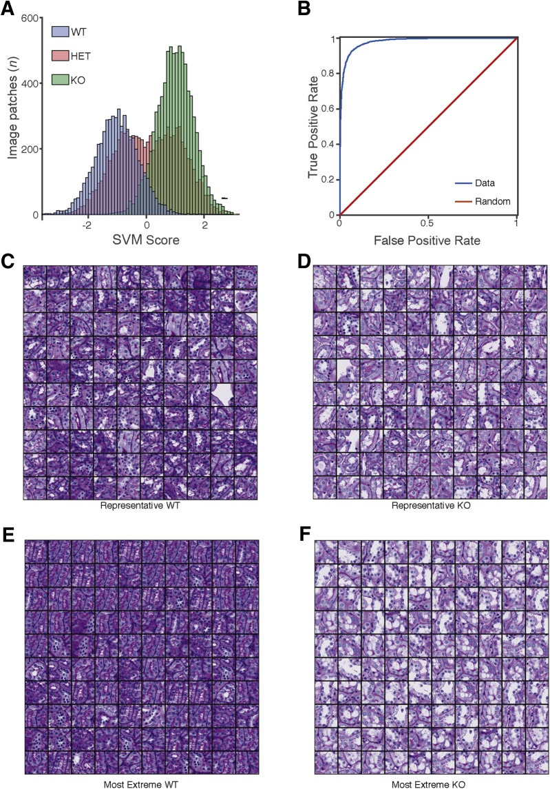 Figure 4