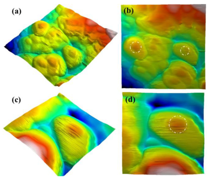 Figure 7