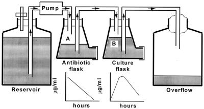 FIG. 1