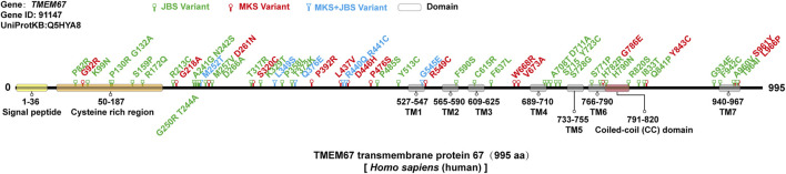 FIGURE 3