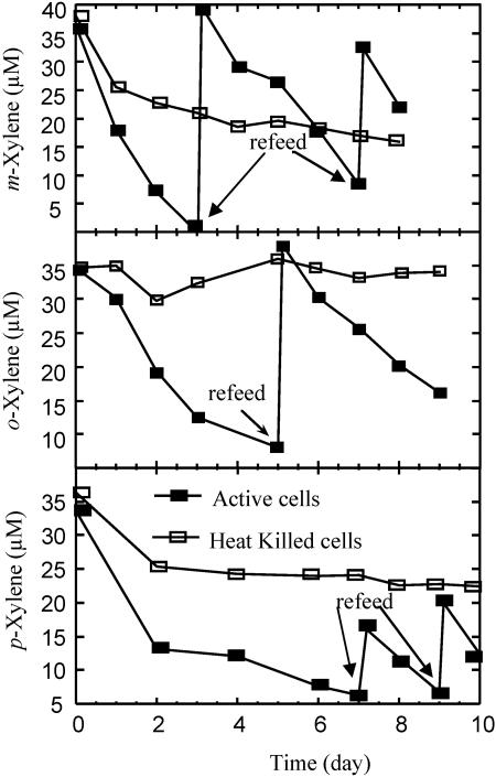 FIG. 5.