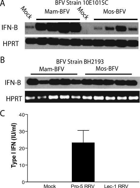 FIG. 8.