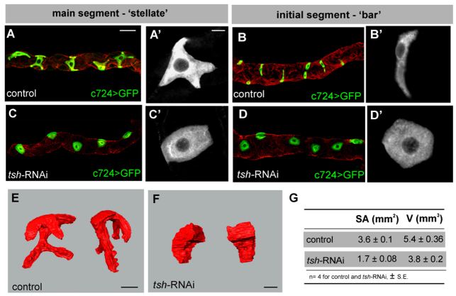 Fig. 5.