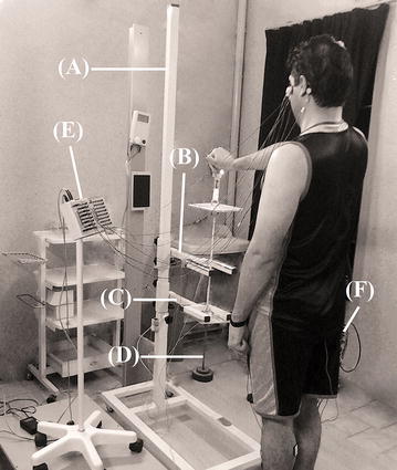 Fig. 1