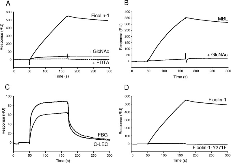 FIG 2