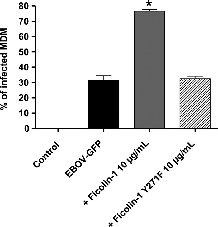 FIG 6