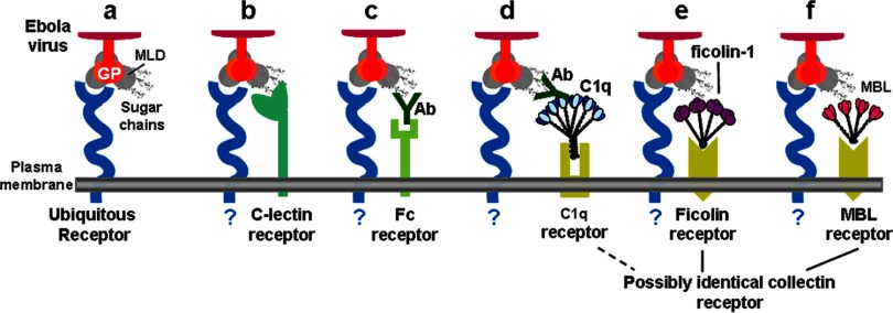 FIG 8