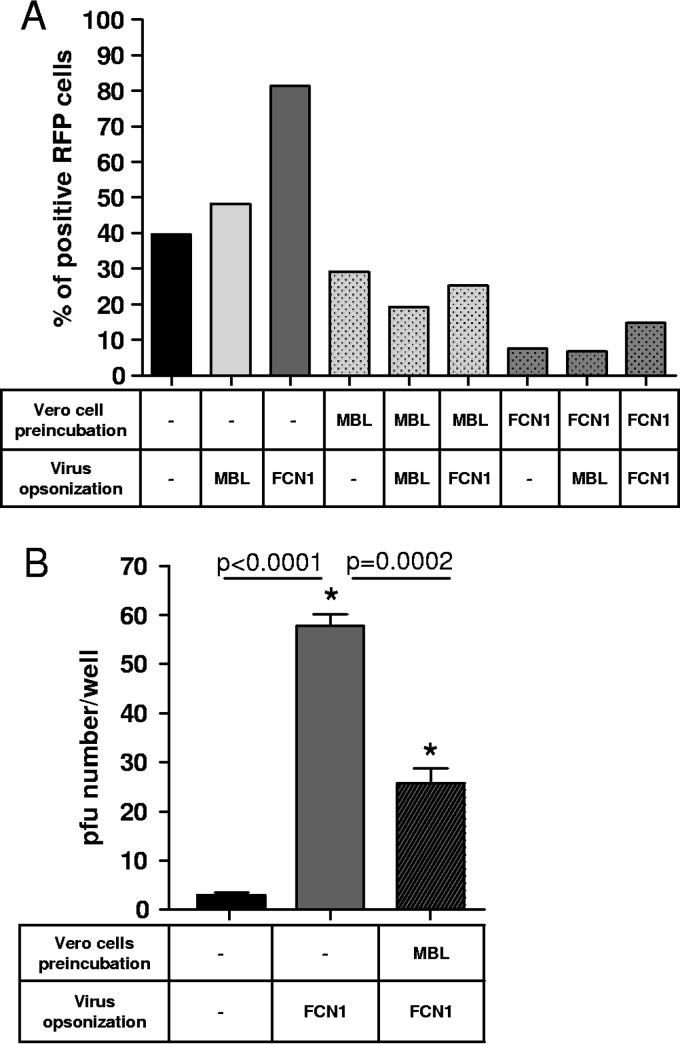 FIG 7