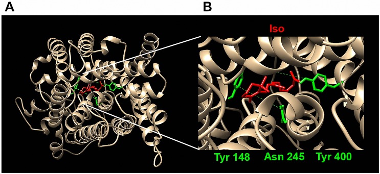 Fig 3