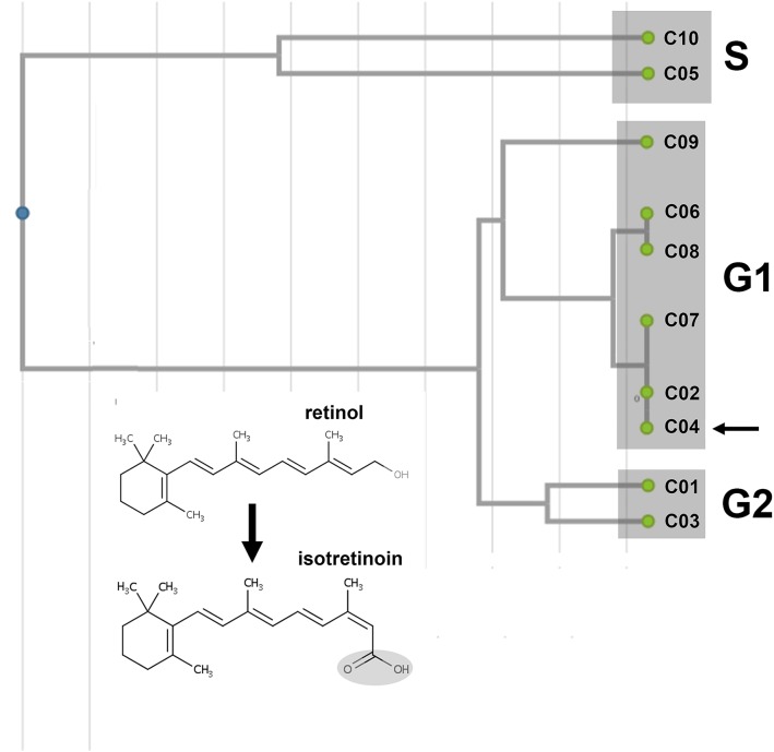 Fig 2