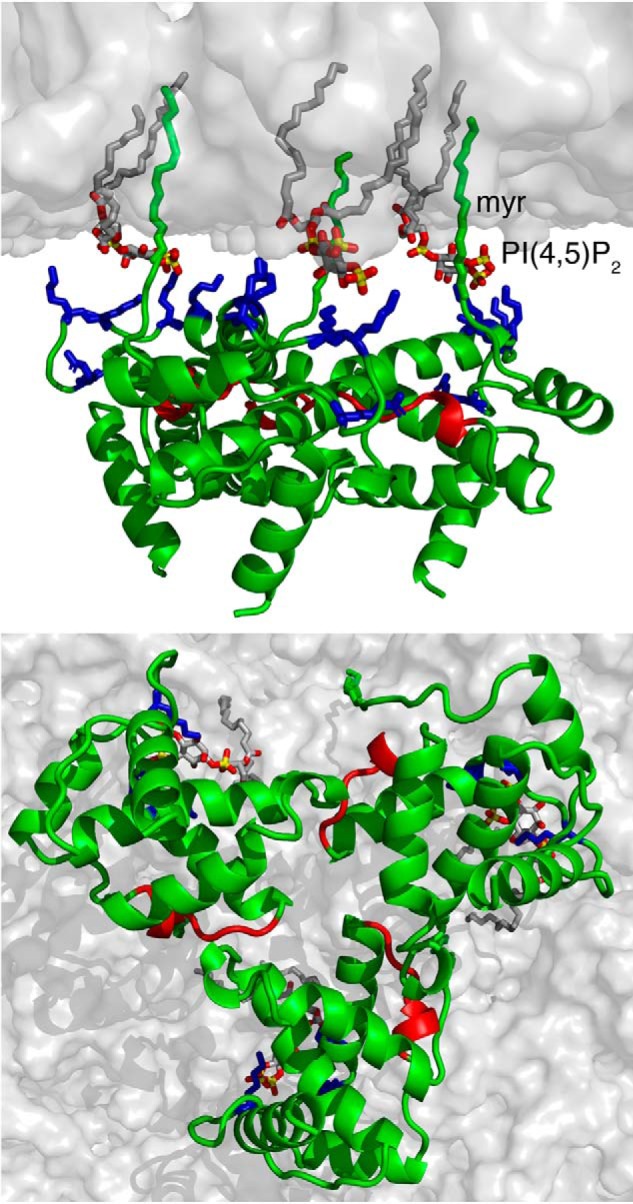 Figure 10.