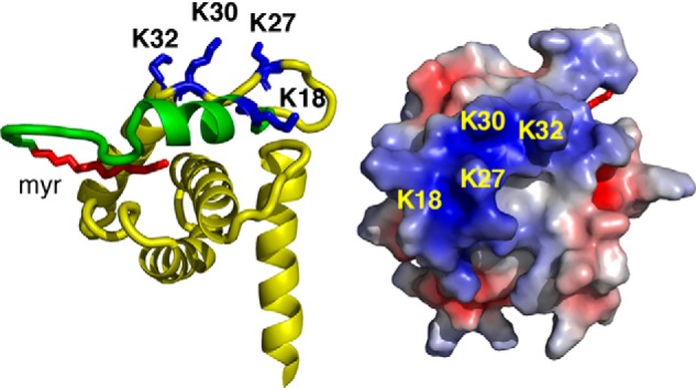 Figure 2.