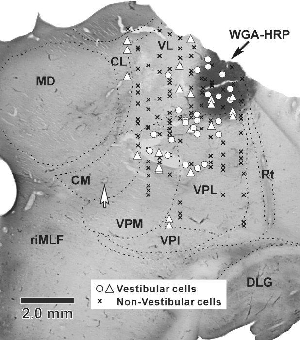 Figure 9.