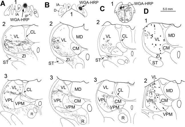 Figure 12.