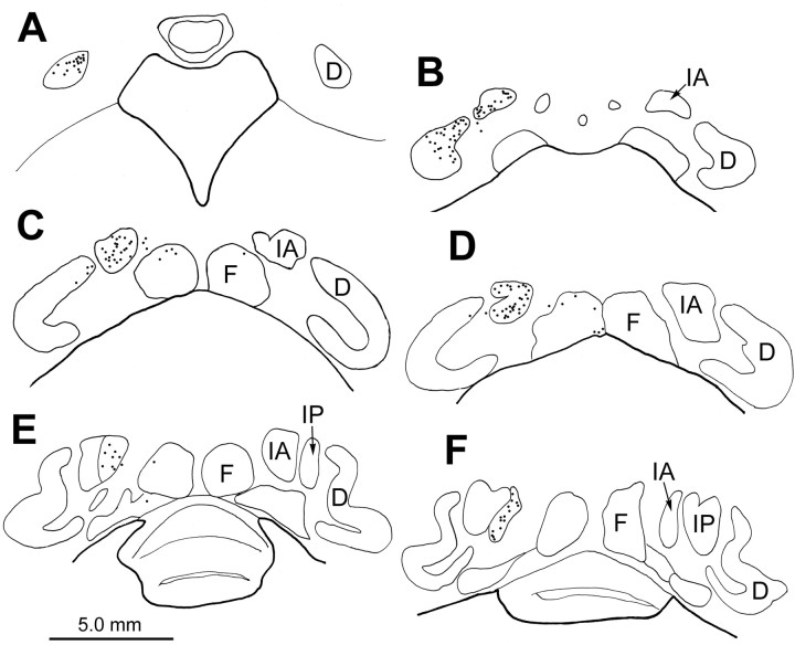 Figure 11.