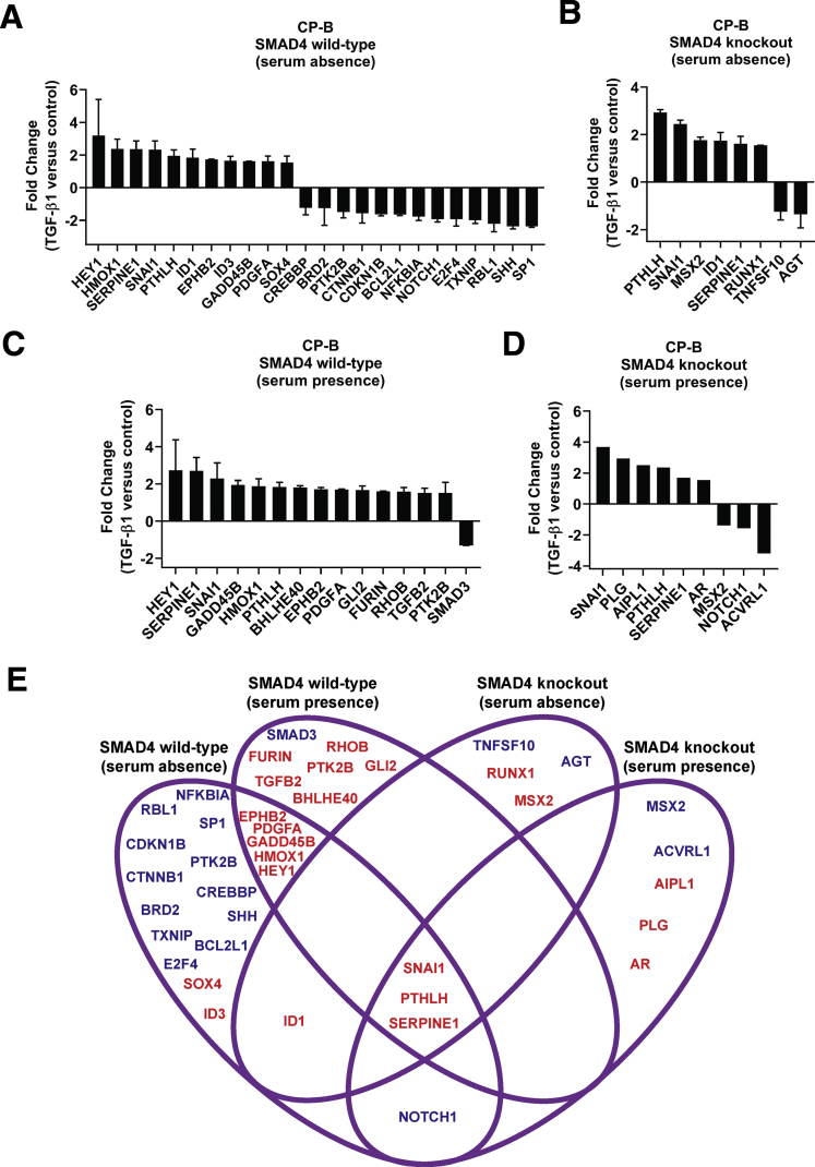 Figure 2