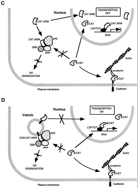 FIG. 9