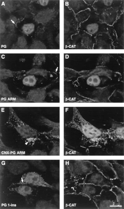 FIG. 6